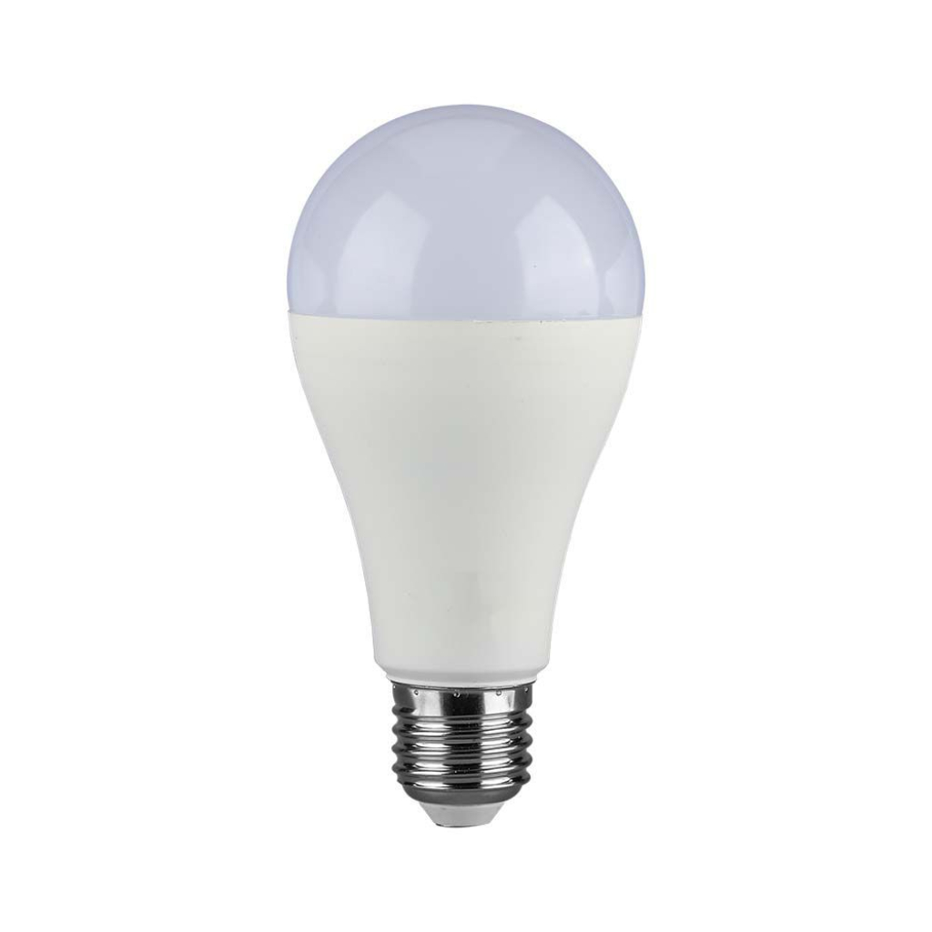 Ampoule LED E27 15 W — A65, 6500K