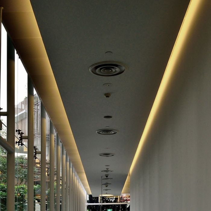 VT-559 13w/m Backlite Silicon Neon Flex 4000k,24v (10m/rouleau)(prix Par M) — 4000K Day White — vue 2